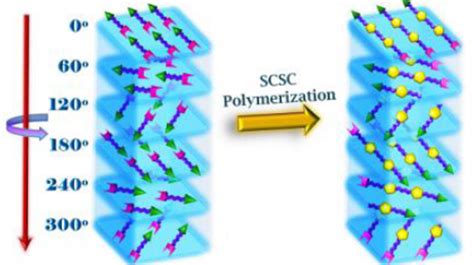Prof. Kana M. Sureshan - Publications | IISER Thiruvananthapuram, MoE ...