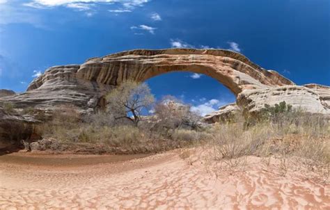 Wallpaper the sky, rocks, arch, USA, the bushes, Arches National Park ...