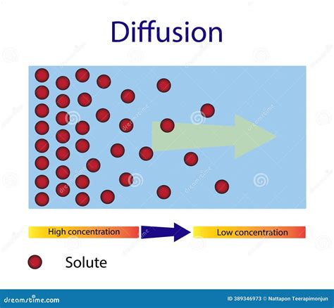 Image result for Diffusion Process Animation