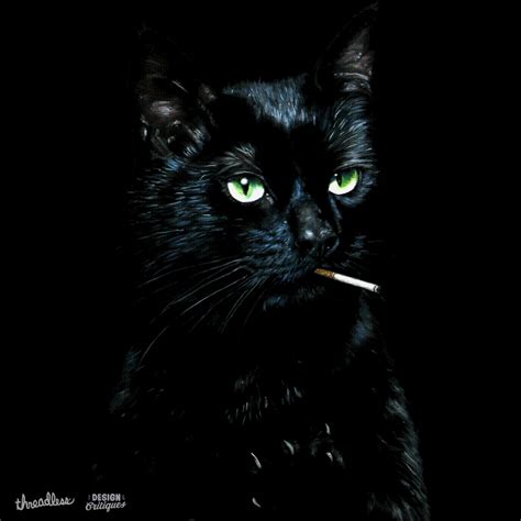 Cat Smoking Cigarette