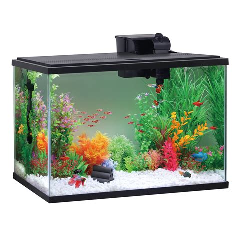 Free Shipping! Aqua Culture 29 Gallon Glass Aquarium Starter Kit with ...