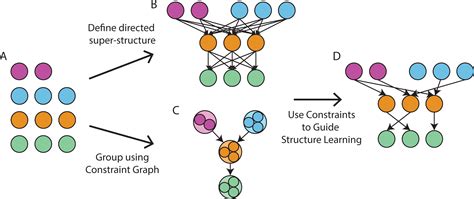 Finding the optimal Bayesian network given a constraint graph [PeerJ]