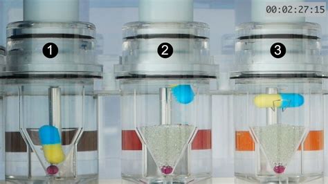 Image result for Flow through Cell Dissolution Open Loop