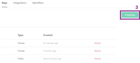 How to Provide API Key in Minecraft Java 的图像结果