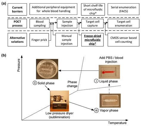 Extending the Shelf-Life of Immunoassay-Based Microfluidic Chips ...