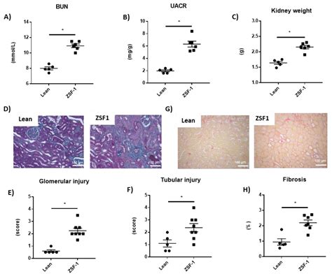 Benefits of the Non-Steroidal Mineralocorticoid Receptor Antagonist ...
