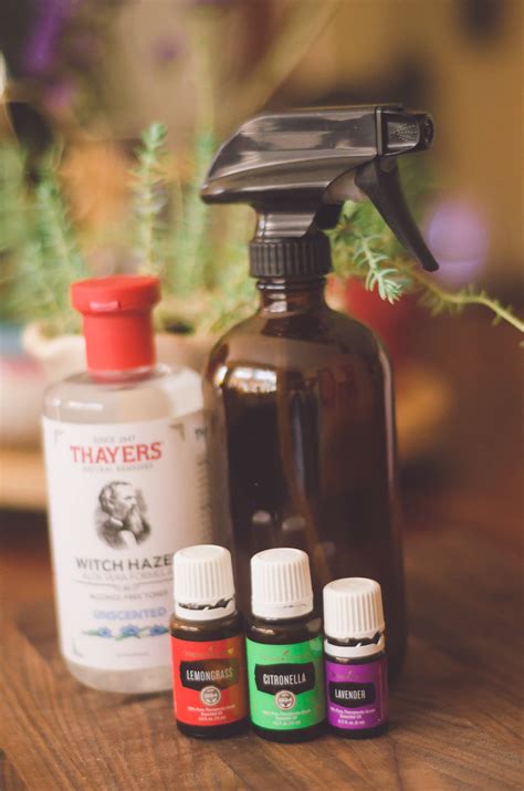 diy bug spray