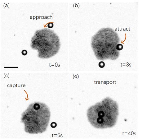 Image result for Vortex Robot