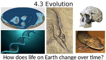 Evolution Environmental Science 的图像结果