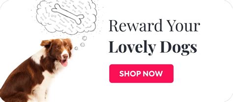 Online Pet Shop & Supplies Store - Buy Pet Food & Accessories – Petsworld