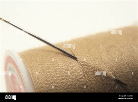 Image result for Sewing Needle and Thread