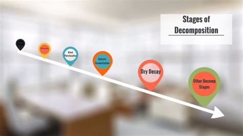 Image result for Decomp Process