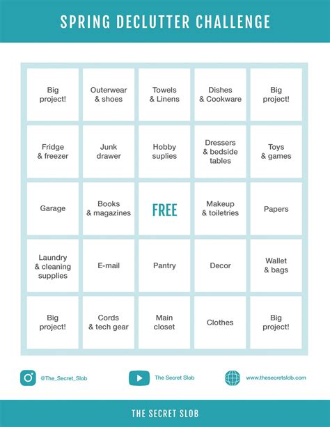 Secret Slob Declutter 的图像结果