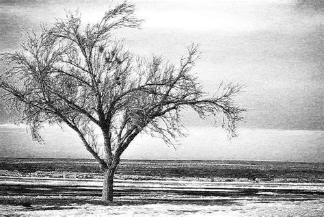 floor plan master bedroom size