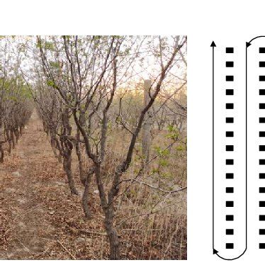 Image result for A* Algorithm Flow Chart