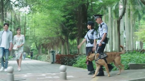 The police dog was disobedient, and the leader wanted to send it away ...