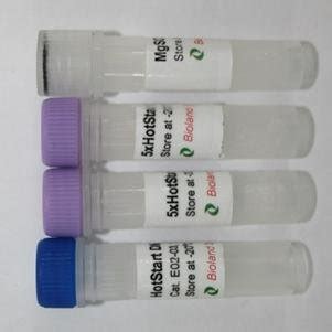 Hot Start Taq Dna Polymerase 5u Ul 500 Units | Desertcart INDIA