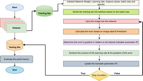 Image result for Next Steps for Training