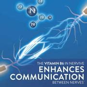 Buy Nervive, Nerve Health Nerve Alpha Lipoic Acid, ALA, B12, Healthy ...