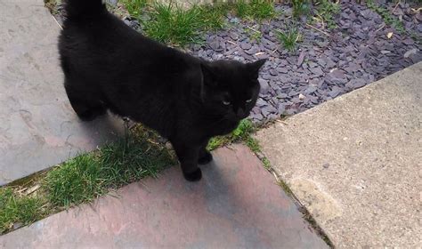 KEW ROOMS (Richmond-upon-Thames) - B&B Reviews, Photos, Rate Comparison ...