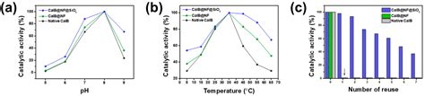 Thermally Stable and Reusable Silica and Nano-Fructosome Encapsulated ...