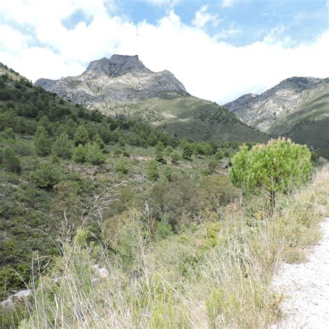 FUENTE DEL ESPARTO (2026) All You Need to Know BEFORE Going (with Photos)