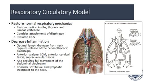 Image result for Common Compensatory Pattern