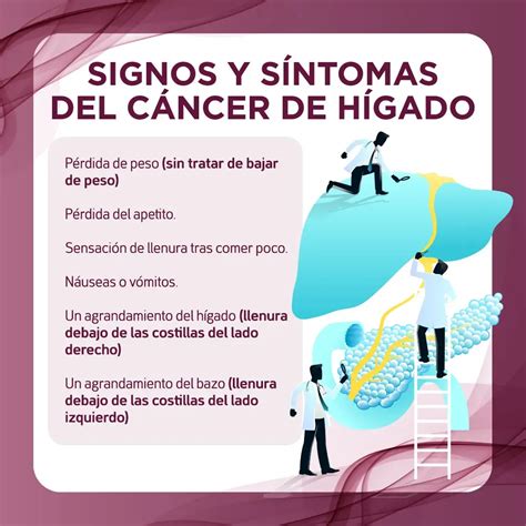 Sintomas De Inflamacion Del Higado Qué Es El Hígado Graso?