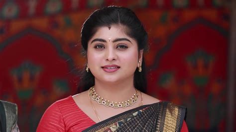 Varisu TV Serial Online - Watch Latest Show Episodes on ZEE5