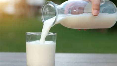 Milk: ఖరీదైన పాలు.. లీటర్ ధర రూ.7,000.. దేశవిదేశాల్లో సూపర్ డిమాండ్ ...