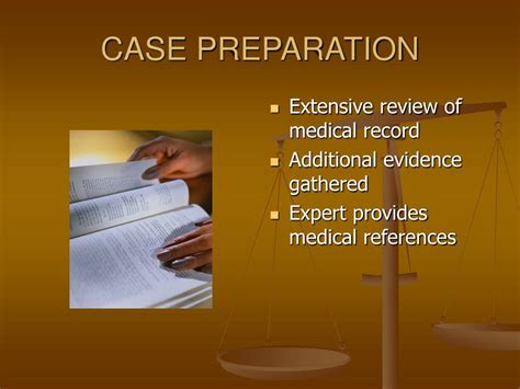 Expert Witness Example 的图像结果