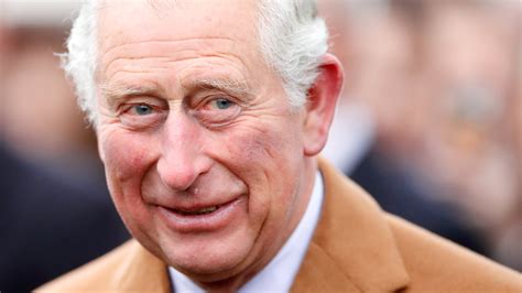 Prince Charles, 70, Photographed in Swimming Trunks in Barbados
