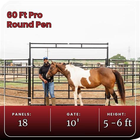 What is the Best Round Pen Size? - Seven Peaks Fence and Barn