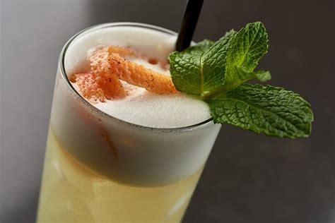 Radisson Hotel Detroit Metro Airport Shuttle Bus Service: Pictures ...