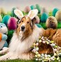 Image result for Silly Easter