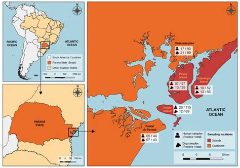 TropicalMed | Special Issue : Recent Advances in Toxoplasma gondii ...