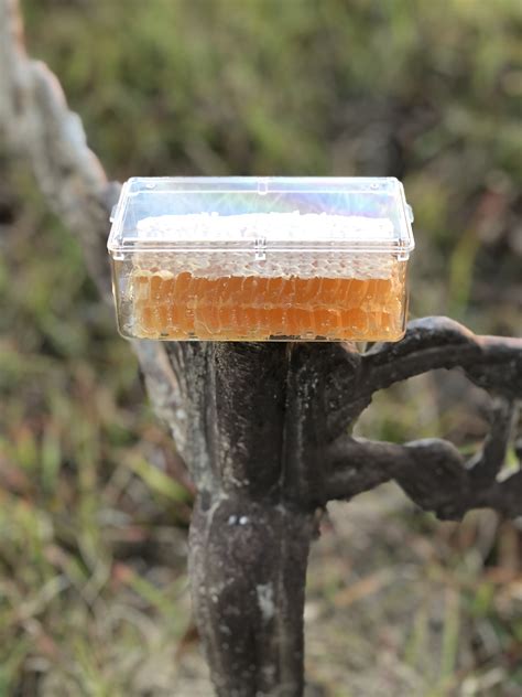 Local Honey 的图像结果