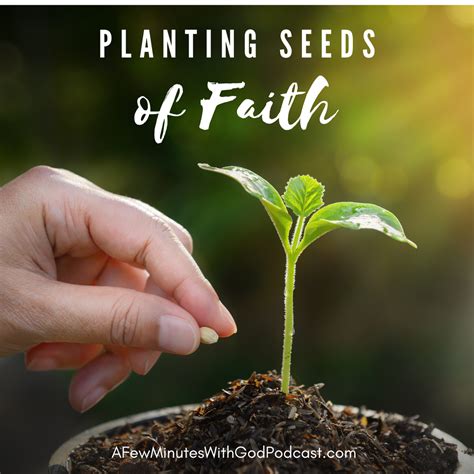 Plant Seeds of Faith - Ultimate Christian Podcast Radio Network