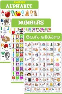 Telugu Chart for Kids (19x26 Inch) Mega Size (3 Charts ) - Laminated ...