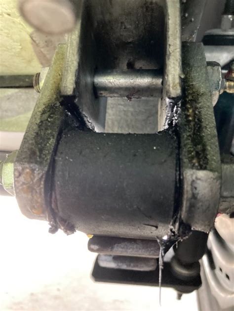 Image result for Dexter Axle Spring Replacement