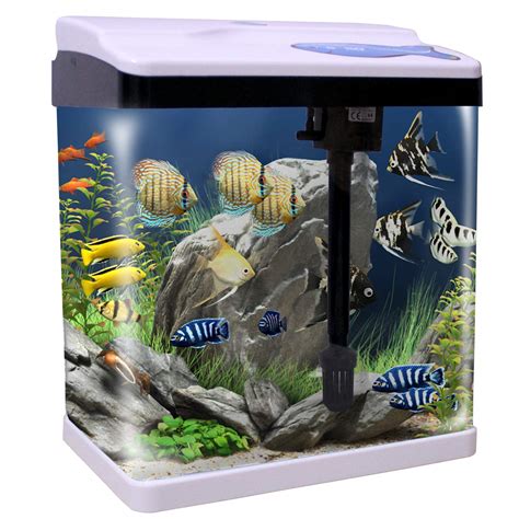 JAINSONS PET PRODUCTS Fish Aquarium Mini Tank (Colour May Vary, Rust ...