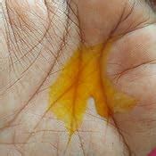 Buy Nalpamaradi Tailam Massage Oil for Skin Brightening Turmeric to ...