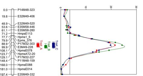 Map Graph 2 Example 的图像结果