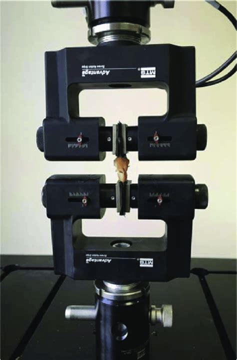 Image result for Activator Method Testing Meniscus