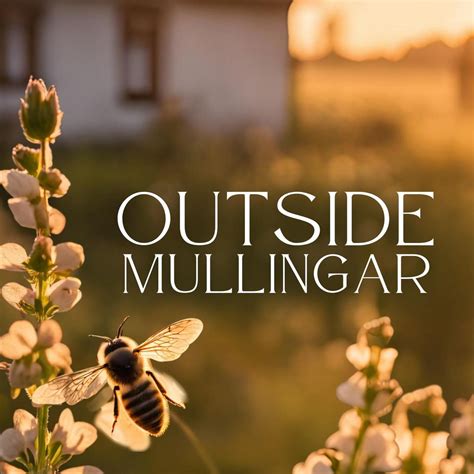 Outside Mullingar, 288 Shady Oak Dr, Michigan City, IN, 4 July 2025 ...