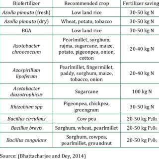 Biofertilizers 的图像结果