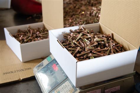 Image result for Machine Screw Types