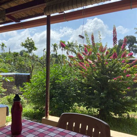 TURTLE POND HOME STAY (Coorg/Manchalli) - Reviews & Photos