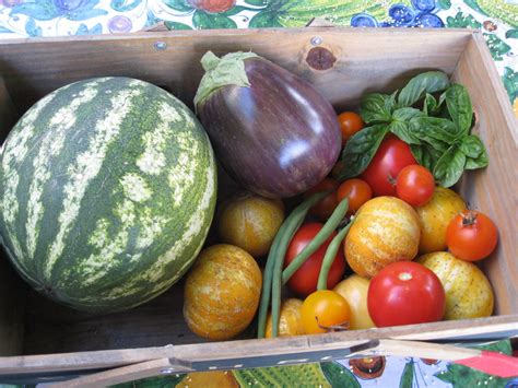 CSA Community Supported Agriculture 的图像结果