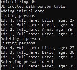 SQLite C Tutorial 的图像结果